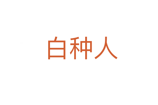 白种人