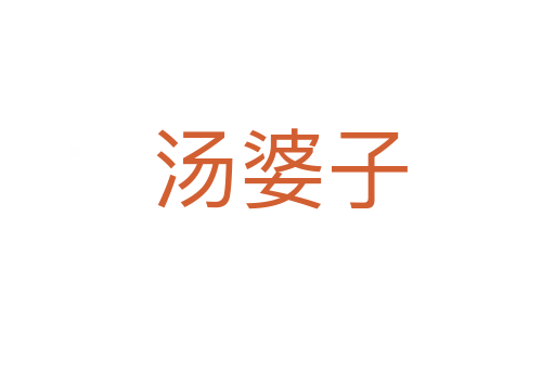 汤婆子