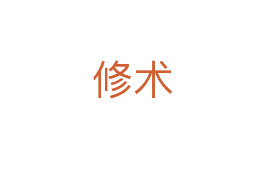 修术