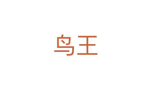 鸟王