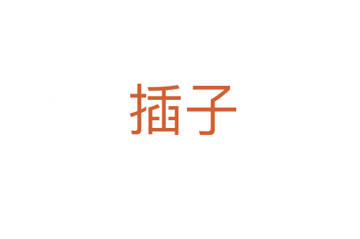 插子