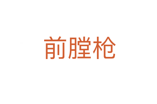前膛枪