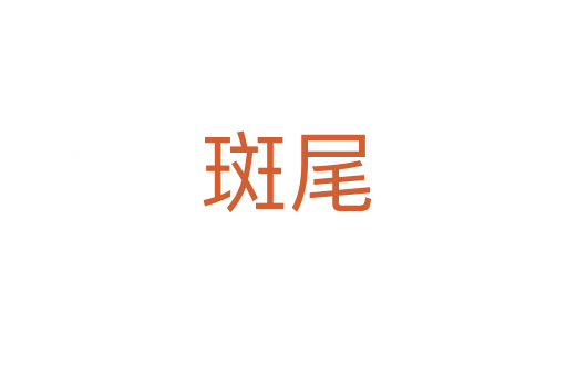 斑尾