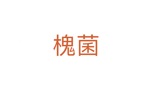 槐菌
