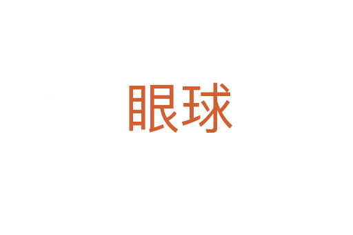 眼球