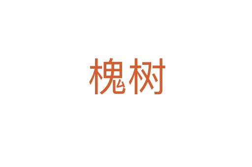 槐树