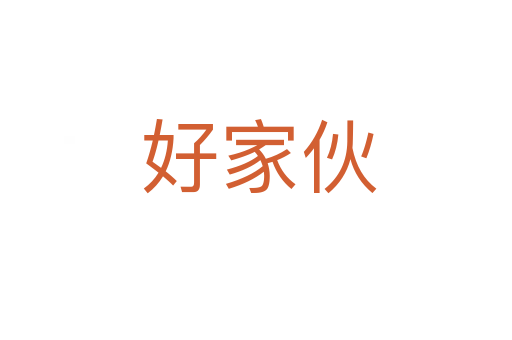 好家伙