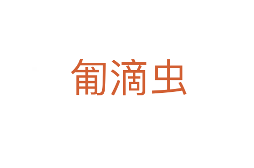 匍滴虫