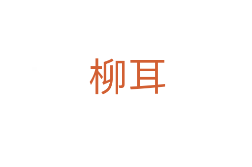 柳耳