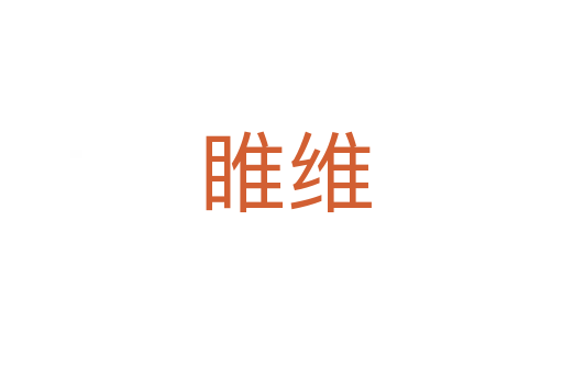 睢维