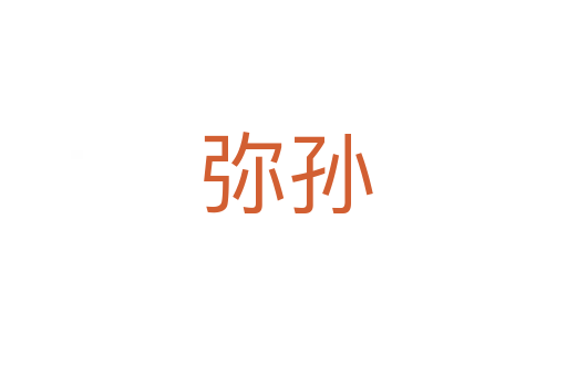 弥孙