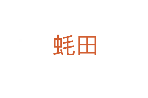 蚝田