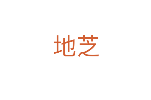 地芝