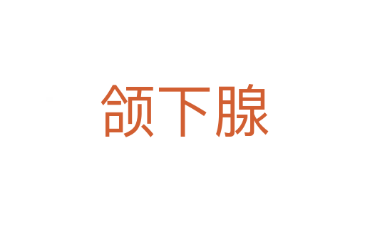 颌下腺