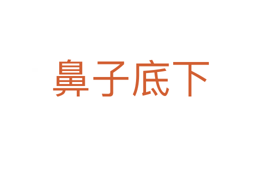 鼻子底下
