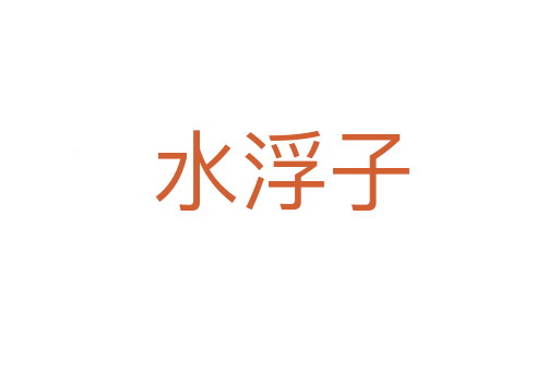 水浮子