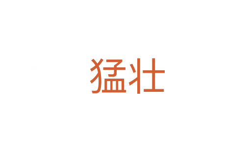 猛壮