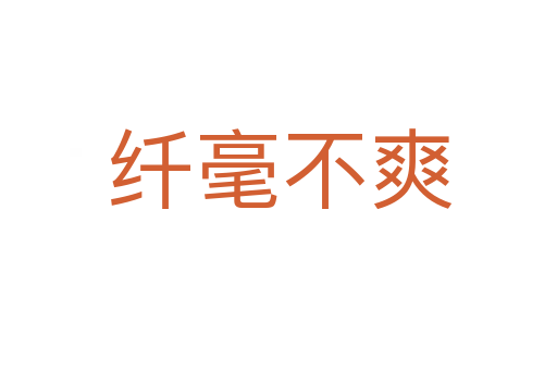 纤毫不爽