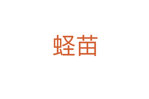 蛏苗