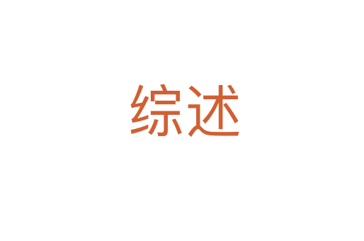 综述