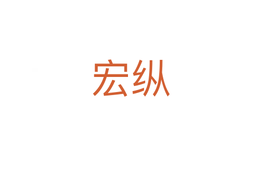 宏纵