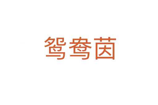 鸳鸯茵