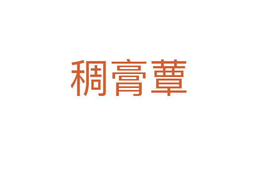 稠膏蕈