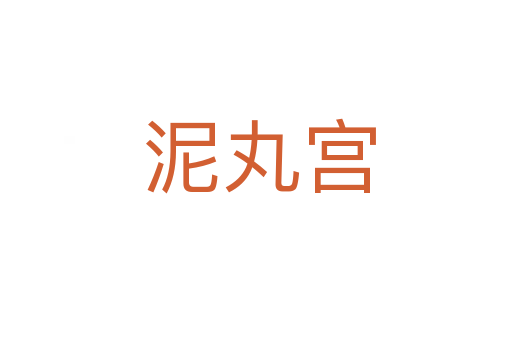 泥丸宫