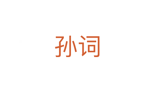 孙词