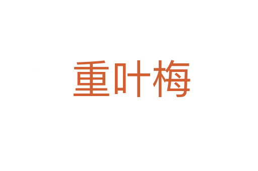 重叶梅