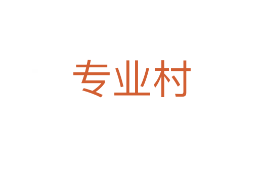 专业村