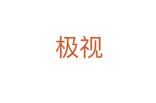 极视