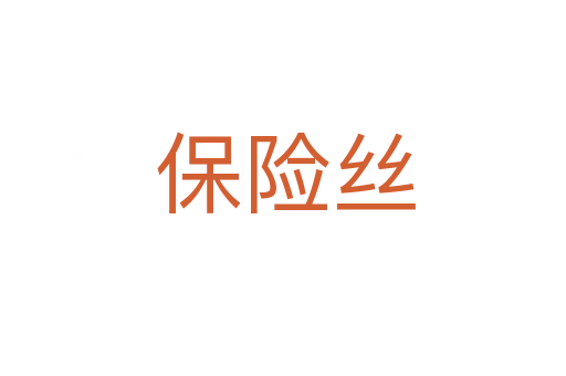 保险丝