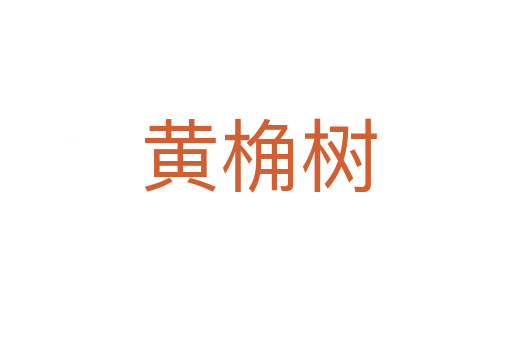 黄桷树