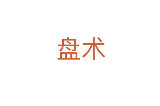 盘术