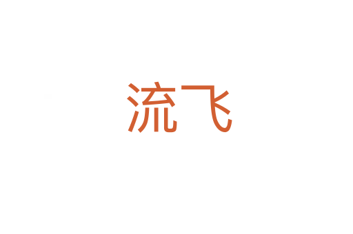 流飞