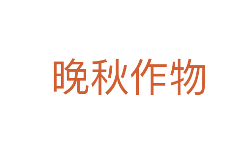 晚秋作物