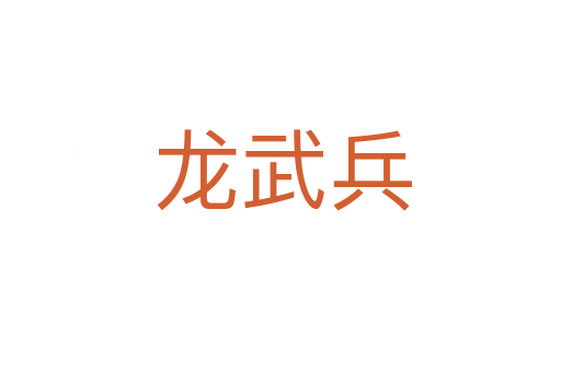 龙武兵