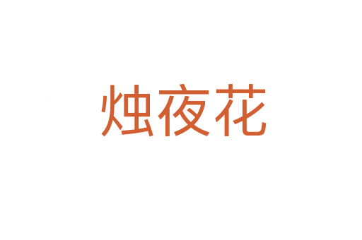 烛夜花