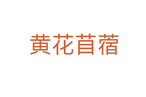黄花苜蓿