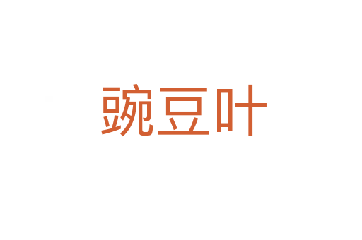 豌豆叶
