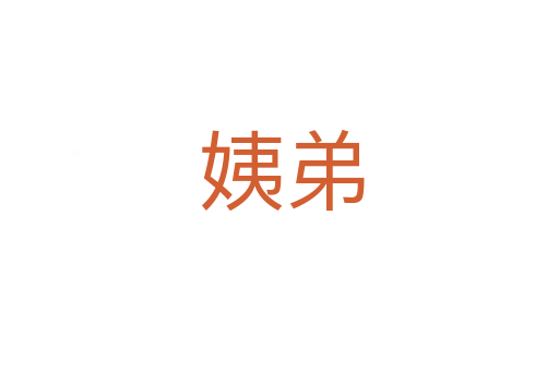 姨弟