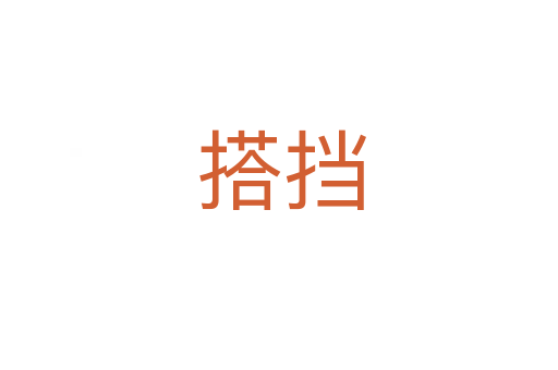 搭挡