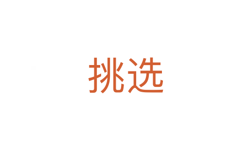 挑选