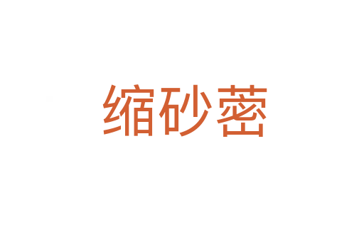缩砂蔤