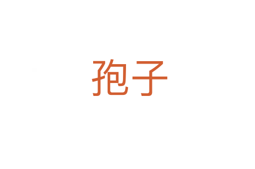 孢子