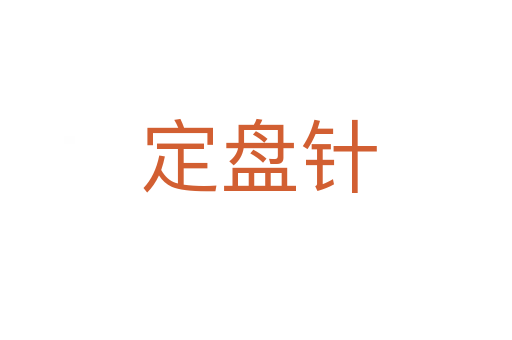 定盘针