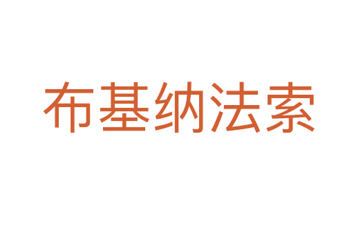 布基纳法索