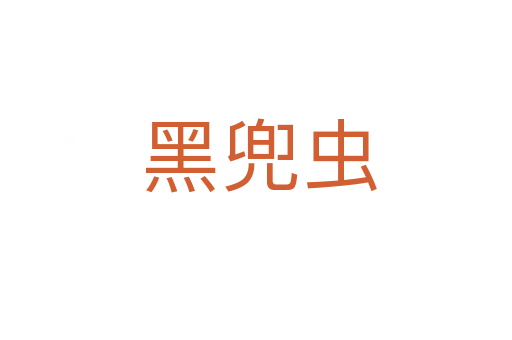 黑兜虫