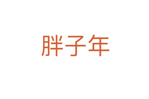 胖子年